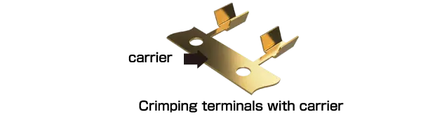 Image of terminals with carriers